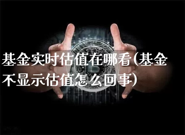 基金实时估值在哪看(基金不显示估值怎么回事)_https://www.cangshenghg.com_A股_第1张