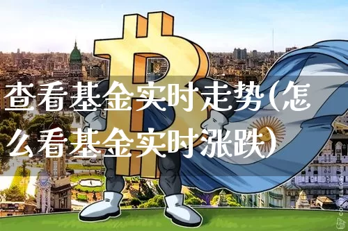 查看基金实时走势(怎么看基金实时涨跌)_https://www.cangshenghg.com_财经新闻_第1张