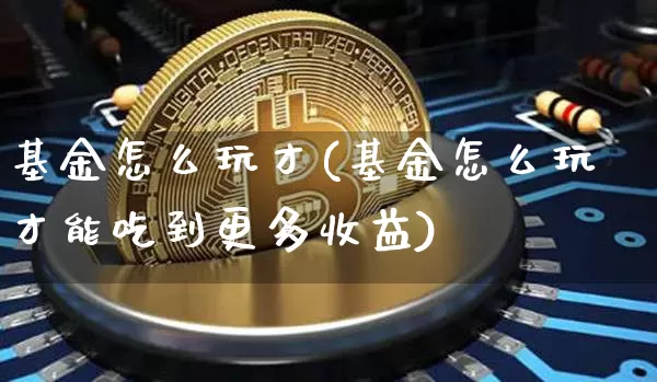 基金怎么玩才(基金怎么玩才能吃到更多收益)_https://www.cangshenghg.com_北交所_第1张