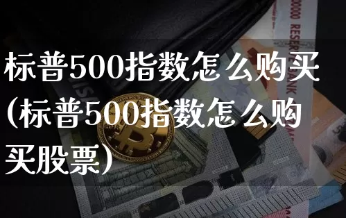 标普500指数怎么购买(标普500指数怎么购买股票)_https://www.cangshenghg.com_财经新闻_第1张