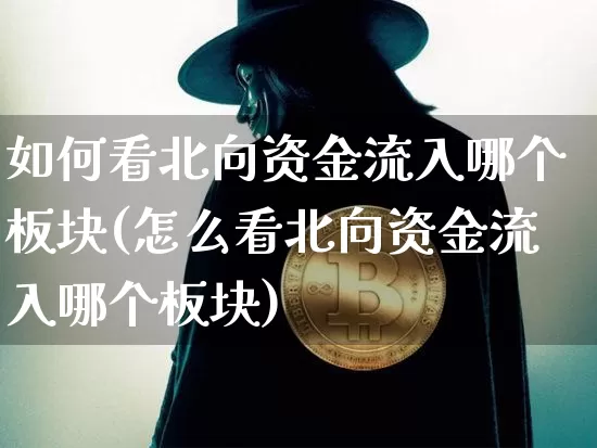 如何看北向资金流入哪个板块(怎么看北向资金流入哪个板块)_https://www.cangshenghg.com_北交所_第1张