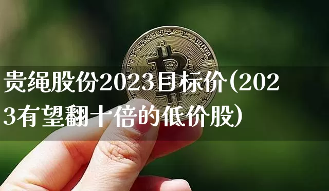 贵绳股份2023目标价(2023有望翻十倍的低价股)_https://www.cangshenghg.com_科创板_第1张