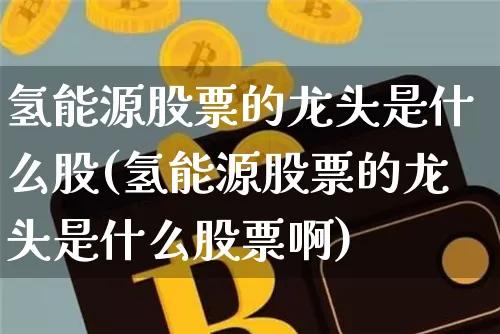 氢能源股票的龙头是什么股(氢能源股票的龙头是什么股票啊)_https://www.cangshenghg.com_科创板_第1张