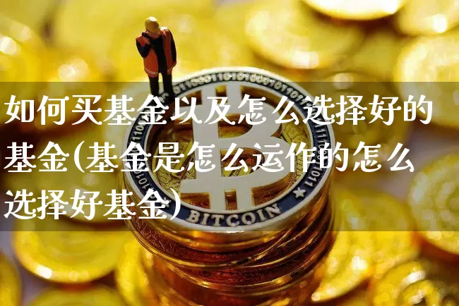 如何买基金以及怎么选择好的基金(基金是怎么运作的怎么选择好基金)_https://www.cangshenghg.com_科创板_第1张