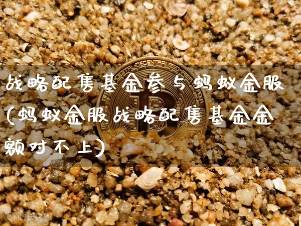战略配售基金参与蚂蚁金服(蚂蚁金服战略配售基金金额对不上)_https://www.cangshenghg.com_创业板_第1张