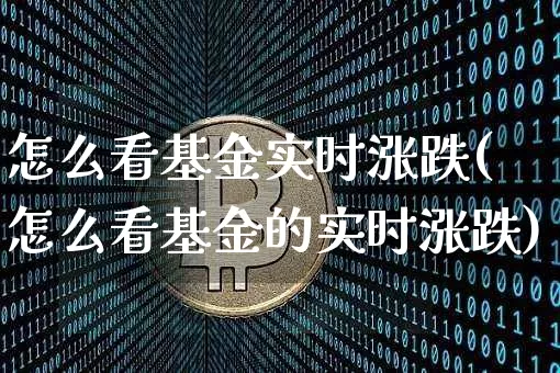 怎么看基金实时涨跌(怎么看基金的实时涨跌)_https://www.cangshenghg.com_科创板_第1张