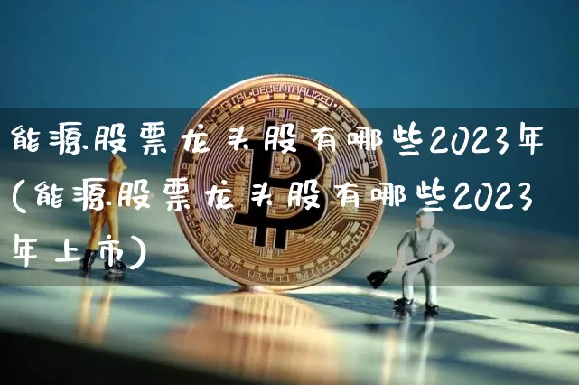 能源股票龙头股有哪些2023年(能源股票龙头股有哪些2023年上市)_https://www.cangshenghg.com_A股_第1张