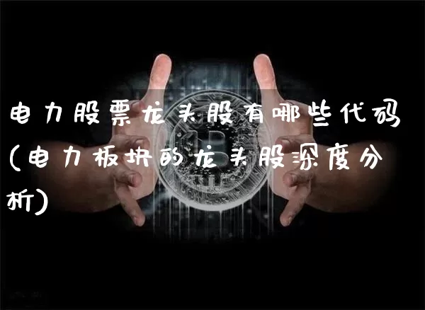 电力股票龙头股有哪些代码(电力板块的龙头股深度分析)_https://www.cangshenghg.com_财经新闻_第1张