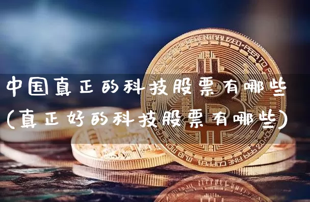 中国真正的科技股票有哪些(真正好的科技股票有哪些)_https://www.cangshenghg.com_科创板_第1张