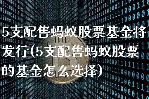 5支配售蚂蚁股票基金将发行(5支配售蚂蚁股票的基金怎么选择)_https://www.cangshenghg.com_北交所_第1张