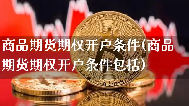 商品期货期权开户条件(商品期货期权开户条件包括)_https://www.cangshenghg.com_北交所_第1张