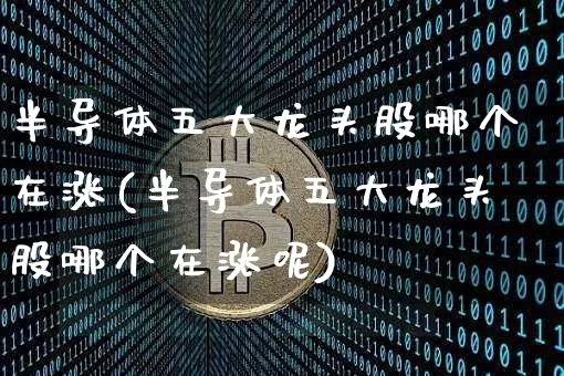 半导体五大龙头股哪个在涨(半导体五大龙头股哪个在涨呢)_https://www.cangshenghg.com_创业板_第1张