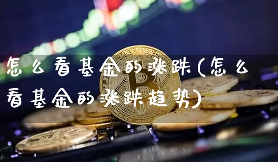 怎么看基金的涨跌(怎么看基金的涨跌趋势)_https://www.cangshenghg.com_科创板_第1张