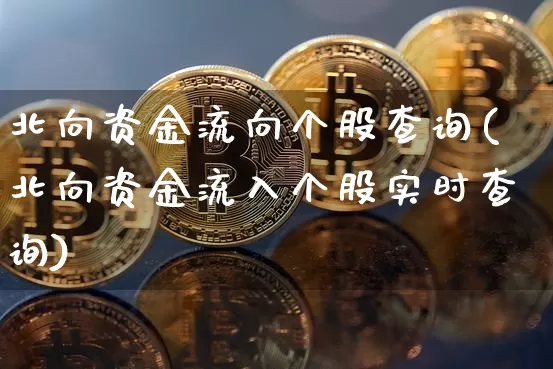 北向资金流向个股查询(北向资金流入个股实时查询)_https://www.cangshenghg.com_财经新闻_第1张
