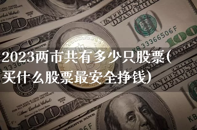 2023两市共有多少只股票(买什么股票最安全挣钱)_https://www.cangshenghg.com_创业板_第1张