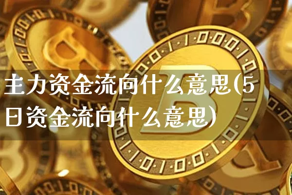 主力资金流向什么意思(5日资金流向什么意思)_https://www.cangshenghg.com_科创板_第1张