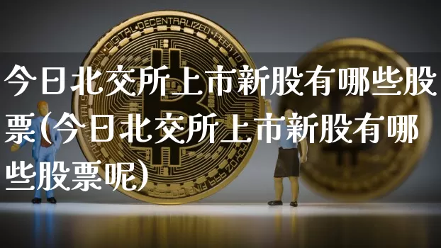 今日北交所上市新股有哪些股票(今日北交所上市新股有哪些股票呢)_https://www.cangshenghg.com_科创板_第1张