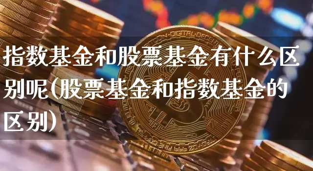 指数基金和股票基金有什么区别呢(股票基金和指数基金的区别)_https://www.cangshenghg.com_北交所_第1张