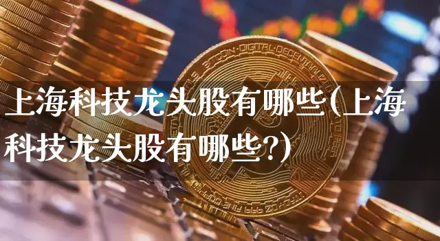 上海科技龙头股有哪些(上海科技龙头股有哪些?)_https://www.cangshenghg.com_科创板_第1张