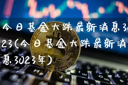 今日基金大跌最新消息3023(今日基金大跌最新消息3023年)_https://www.cangshenghg.com_北交所_第1张