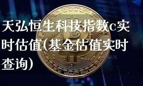 天弘恒生科技指数c实时估值(基金估值实时查询)_https://www.cangshenghg.com_科创板_第1张