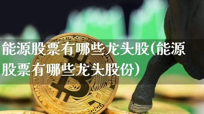 能源股票有哪些龙头股(能源股票有哪些龙头股份)_https://www.cangshenghg.com_财经新闻_第1张