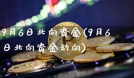 9月6日北向资金(9月6日北向资金动向)_https://www.cangshenghg.com_北交所_第1张