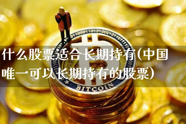 什么股票适合长期持有(中国唯一可以长期持有的股票)_https://www.cangshenghg.com_创业板_第1张