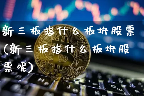 新三板指什么板块股票(新三板指什么板块股票呢)_https://www.cangshenghg.com_A股_第1张