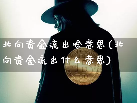 北向资金流出啥意思(北向资金流出什么意思)_https://www.cangshenghg.com_财经新闻_第1张