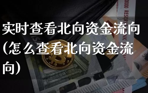 实时查看北向资金流向(怎么查看北向资金流向)_https://www.cangshenghg.com_北交所_第1张