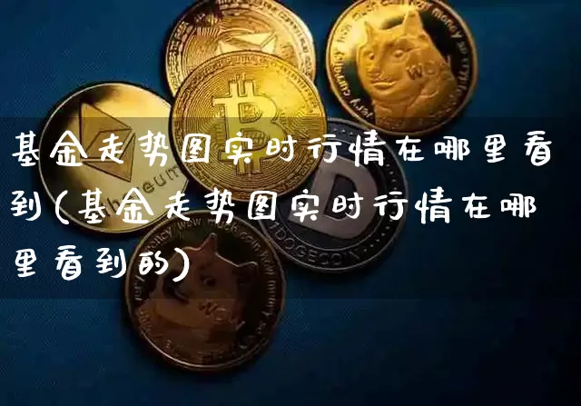 基金走势图实时行情在哪里看到(基金走势图实时行情在哪里看到的)_https://www.cangshenghg.com_北交所_第1张
