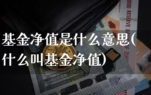 基金净值是什么意思(什么叫基金净值)_https://www.cangshenghg.com_科创板_第1张