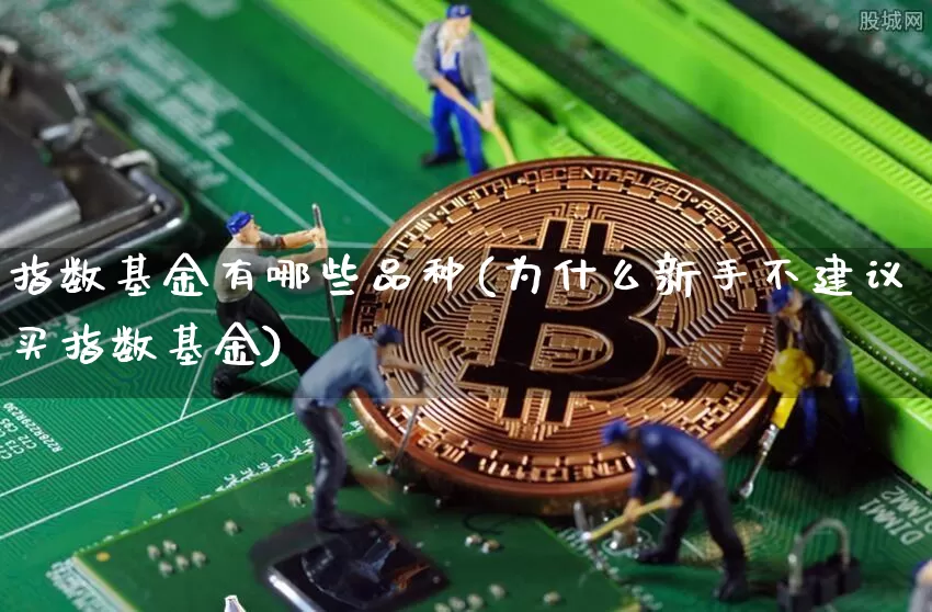 指数基金有哪些品种(为什么新手不建议买指数基金)_https://www.cangshenghg.com_财经新闻_第1张