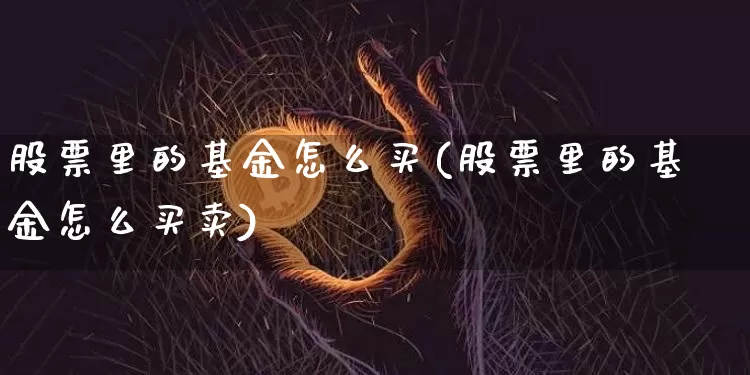 股票里的基金怎么买(股票里的基金怎么买卖)_https://www.cangshenghg.com_北交所_第1张