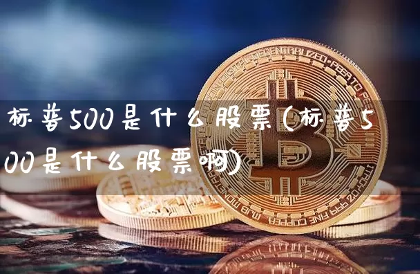 标普500是什么股票(标普500是什么股票啊)_https://www.cangshenghg.com_科创板_第1张