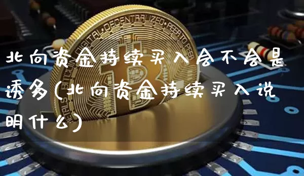 北向资金持续买入会不会是诱多(北向资金持续买入说明什么)_https://www.cangshenghg.com_创业板_第1张