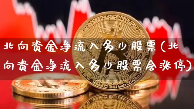 北向资金净流入多少股票(北向资金净流入多少股票会涨停)_https://www.cangshenghg.com_科创板_第1张