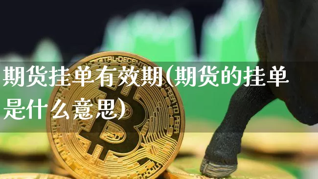 期货挂单有效期(期货的挂单是什么意思)_https://www.cangshenghg.com_财经新闻_第1张