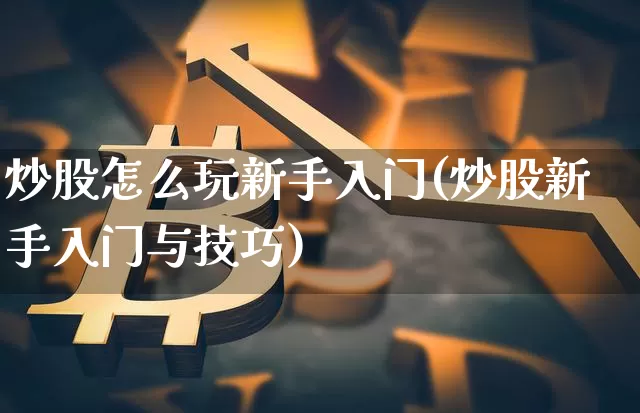 炒股怎么玩新手入门(炒股新手入门与技巧)_https://www.cangshenghg.com_财经新闻_第1张