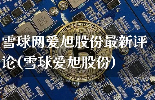 雪球网爱旭股份最新评论(雪球爱旭股份)_https://www.cangshenghg.com_A股_第1张