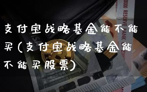 支付宝战略基金能不能买(支付宝战略基金能不能买股票)_https://www.cangshenghg.com_科创板_第1张
