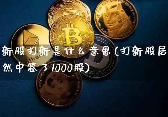 新股打新是什么意思(打新股居然中签了1000股)_https://www.cangshenghg.com_科创板_第1张