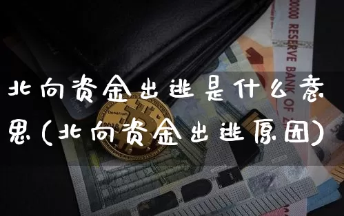 北向资金出逃是什么意思(北向资金出逃原因)_https://www.cangshenghg.com_北交所_第1张