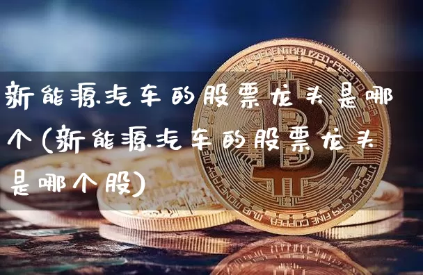 新能源汽车的股票龙头是哪个(新能源汽车的股票龙头是哪个股)_https://www.cangshenghg.com_北交所_第1张