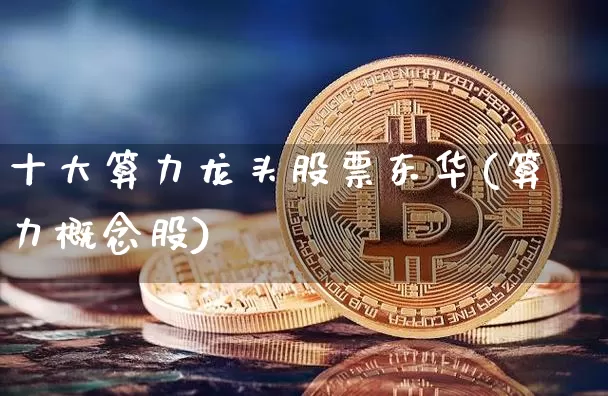 十大算力龙头股票东华(算力概念股)_https://www.cangshenghg.com_创业板_第1张