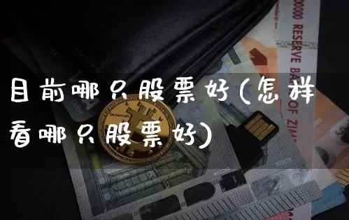 目前哪只股票好(怎样看哪只股票好)_https://www.cangshenghg.com_创业板_第1张