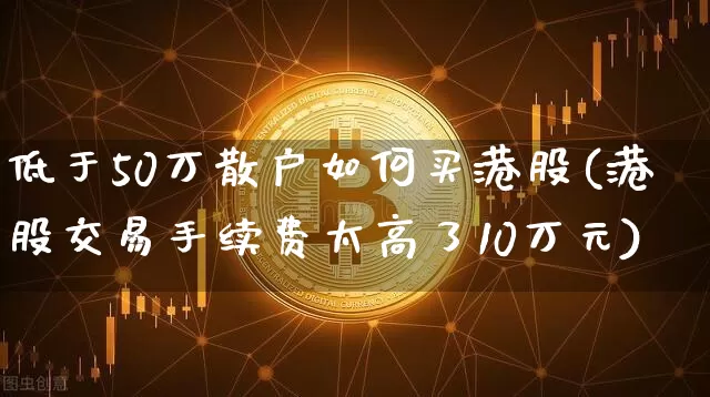 低于50万散户如何买港股(港股交易手续费太高了10万元)_https://www.cangshenghg.com_北交所_第1张