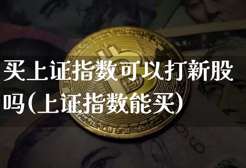 买上证指数可以打新股吗(上证指数能买)_https://www.cangshenghg.com_北交所_第1张