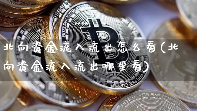 北向资金流入流出怎么看(北向资金流入流出哪里看)_https://www.cangshenghg.com_北交所_第1张
